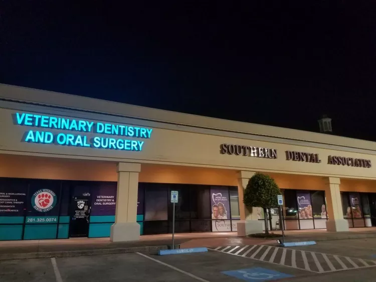 Texas Veterinary Dental Center, Texas, Stafford